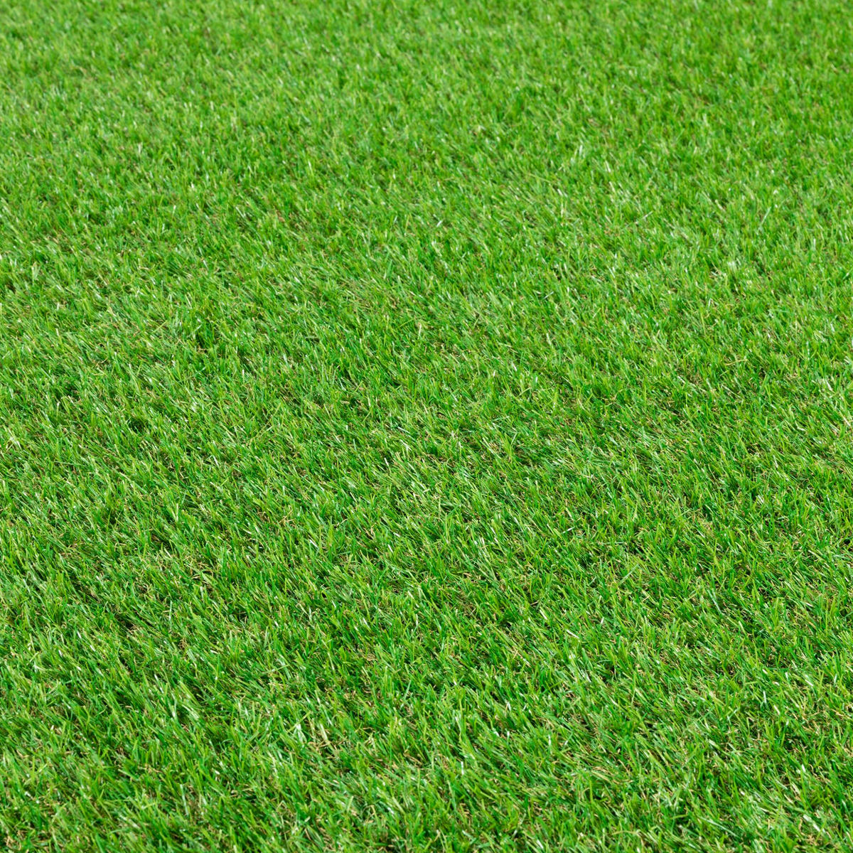 RASENTEPPICH Grün 300/300 cm Wimbledon - Grün, Kunststoff (300/150cm) - Steffensmeier