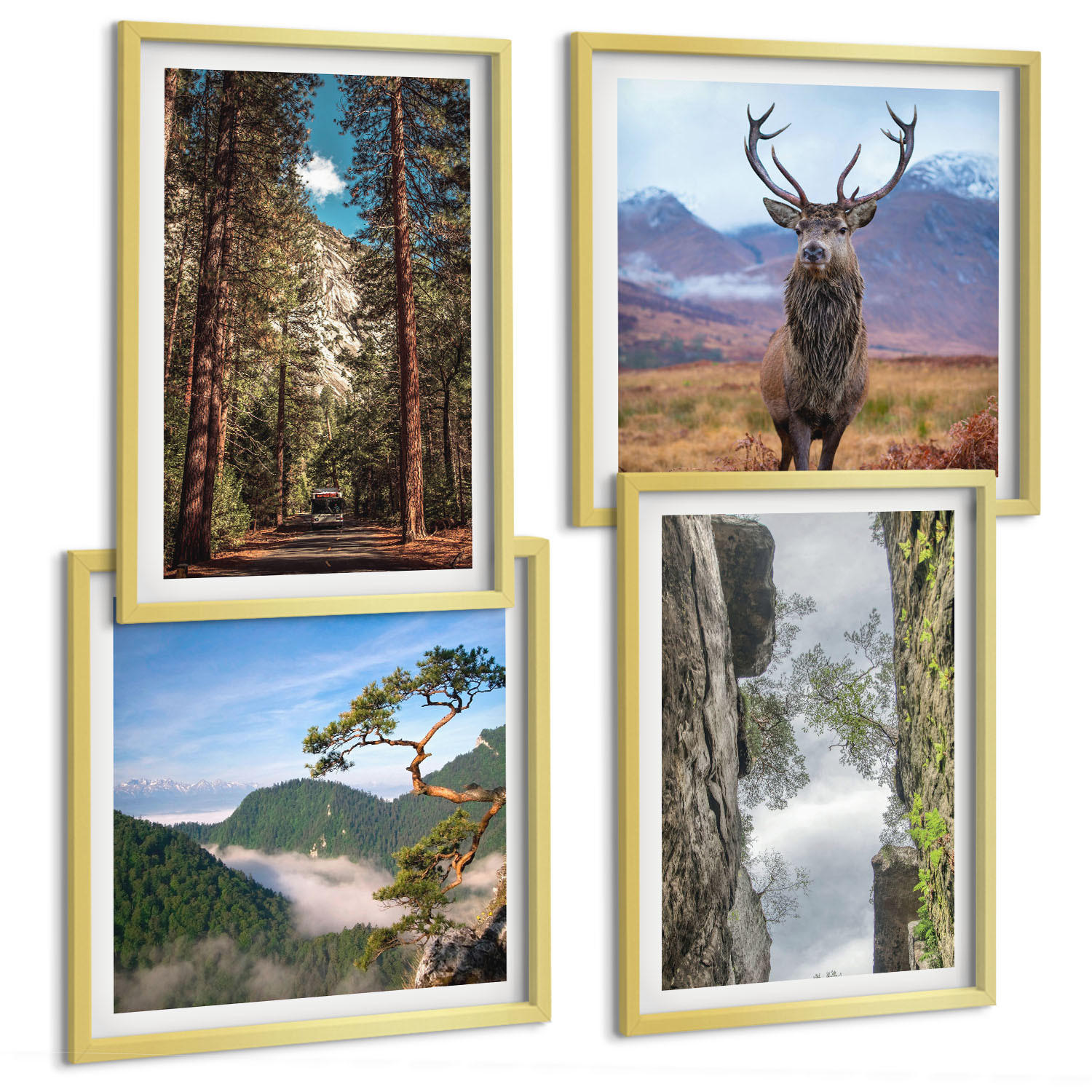 BILDER SET 4er Set - 50x50 cm & 40x60 cm Goldrahmen - Straße Wald Berge Hirsch Natur - Goldfarben, Kunststoff (50/50cm) - TULUP