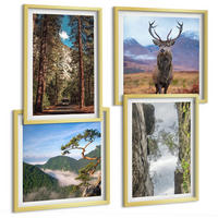 BILDER SET 4er Set - 50x50 cm & 40x60 cm Goldrahmen - Straße Wald Berge Hirsch Natur - Goldfarben, Kunststoff (50/50cm) - TULUP