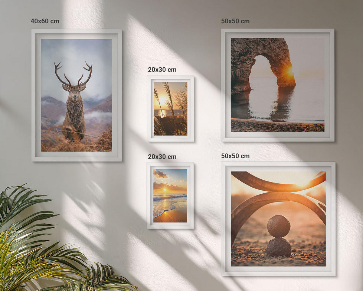 BILDER SET 5er Set - 50x50 cm & 20x30 cm & 40x60 cm Weißer Rahmen - Blätter des Weißen Tigerwasserfalls - Weiß, Kunststoff (40/60cm) - TULUP