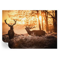FOTOTAPETE 312x219 cm - Rehe am Morgen - Schwarz, Textil (312/219cm) - Wallfluent