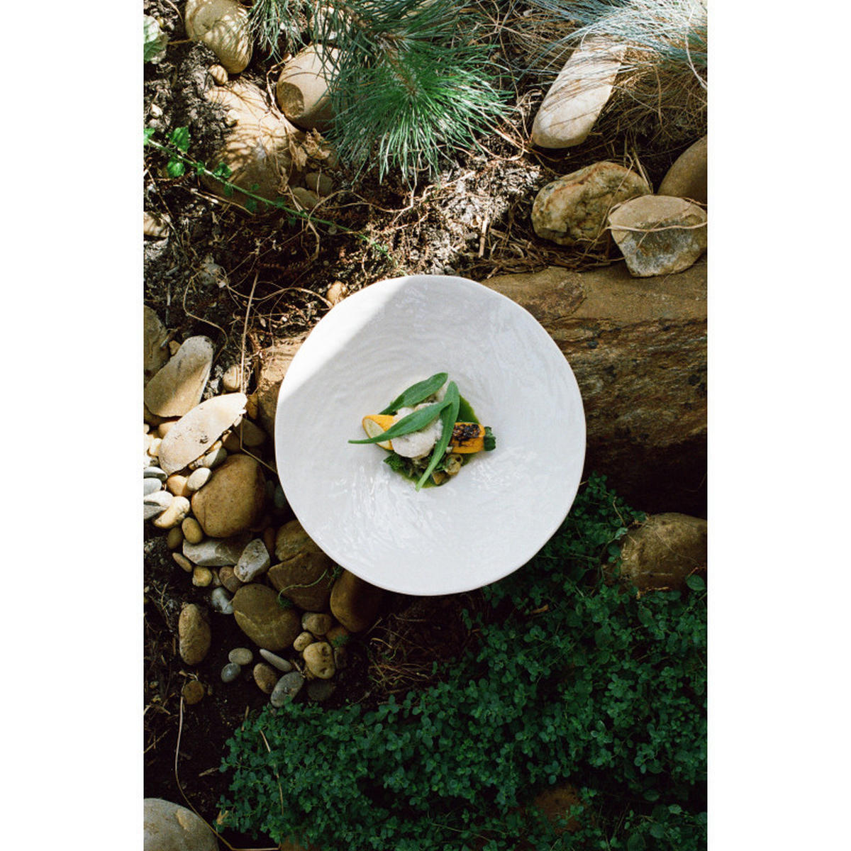 COUPTELLER YLI 22 CM Alabaster Weiss - Weiß, Keramik (22cm) - Revol Porcelaine France