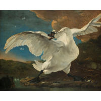 FOTOTAPETE Der bedrohte Schwan von Jan Asselijn 350 x 279 cm - Braun, Papier (350/279cm) - Sanders & Sanders