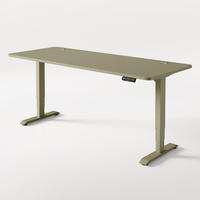 SCHREIBTISCH Elektrisch Höhenverstellbarer HomePro 200x80cm Grün/Grün mit Memory-Funktion, Anti-Kollisions Technologie - Grün, Holzwerkstoff (80/200/62cm) - Desktronic