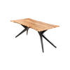 ESSTISCH CONNI - Beige/Schwarz, Holz/Metall (100/300/77cm) - SAM