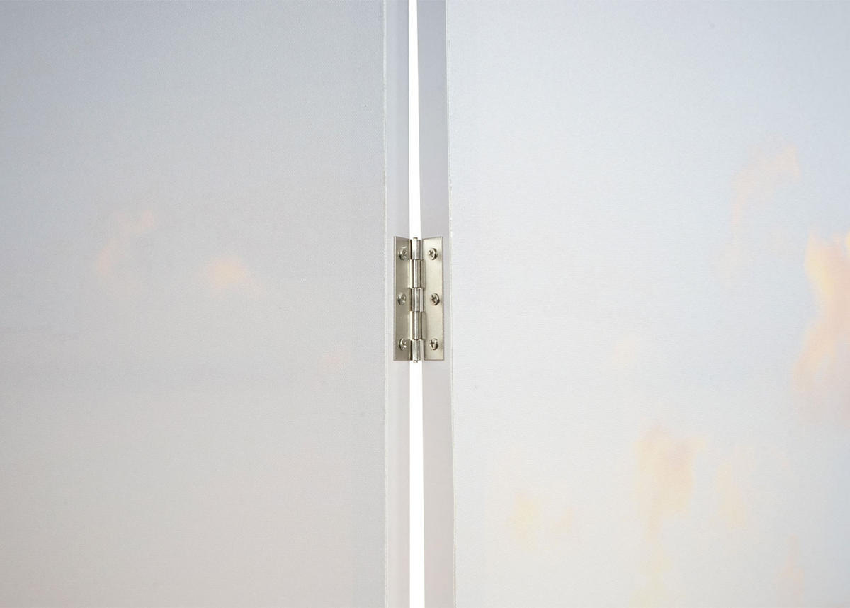 FOTO-PARAVENT Altrosa, Gelb - Gelb/Altrosa, Holz (244/180/2cm) - MCW