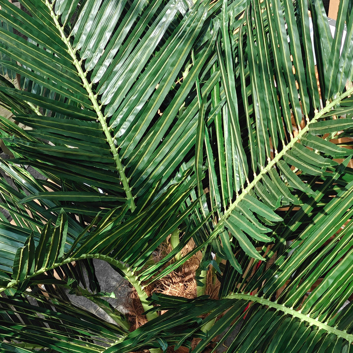 PALME, Künstlich - Grün, Textil (300cm) - Oviala