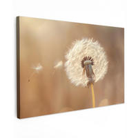 LEINWANDBILD Löwenzahn - Beige - Natur - Blume Deko Schlafzimmer 30x20 cm - Hellbraun, Textil (30/20cm) - MuchoWow