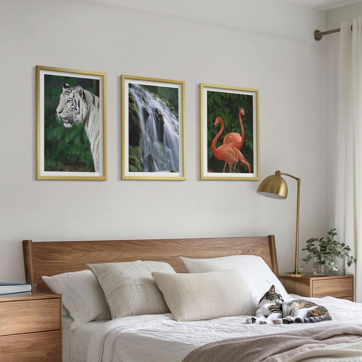 BILDER SET 3er Set - 40x60 cm Goldrahmen - Tiger Wasserfall Flamingos Natur - Goldfarben, Kunststoff (40/60cm) - TULUP