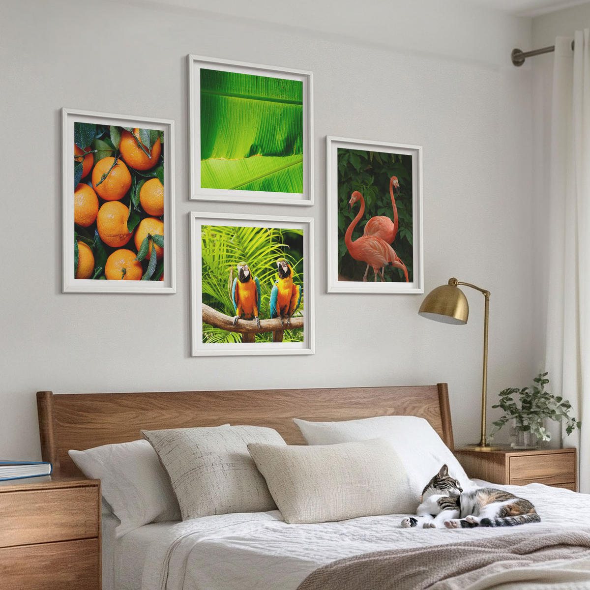 BILDER SET 4er Set - 50x50 cm & 40x60 cm Weißer Rahmen - Fruchtige Akzente der Tropen - Weiß, Kunststoff (50/50cm) - TULUP
