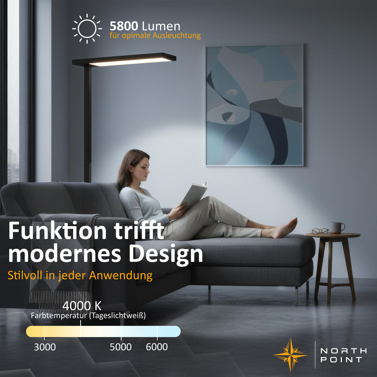 LED-STEHLEUCHTE Schwarz 195 x 80 x 24 cm Metall - Schwarz, Metall (80/30/195cm) - Northpoint