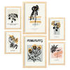 POSTER Set Mit 6 Schwarze Tintenblumen Größe A3 & A4 Rahmen aus hellem Holz - Beige, Papier (29.7/1cm) - Nacnic