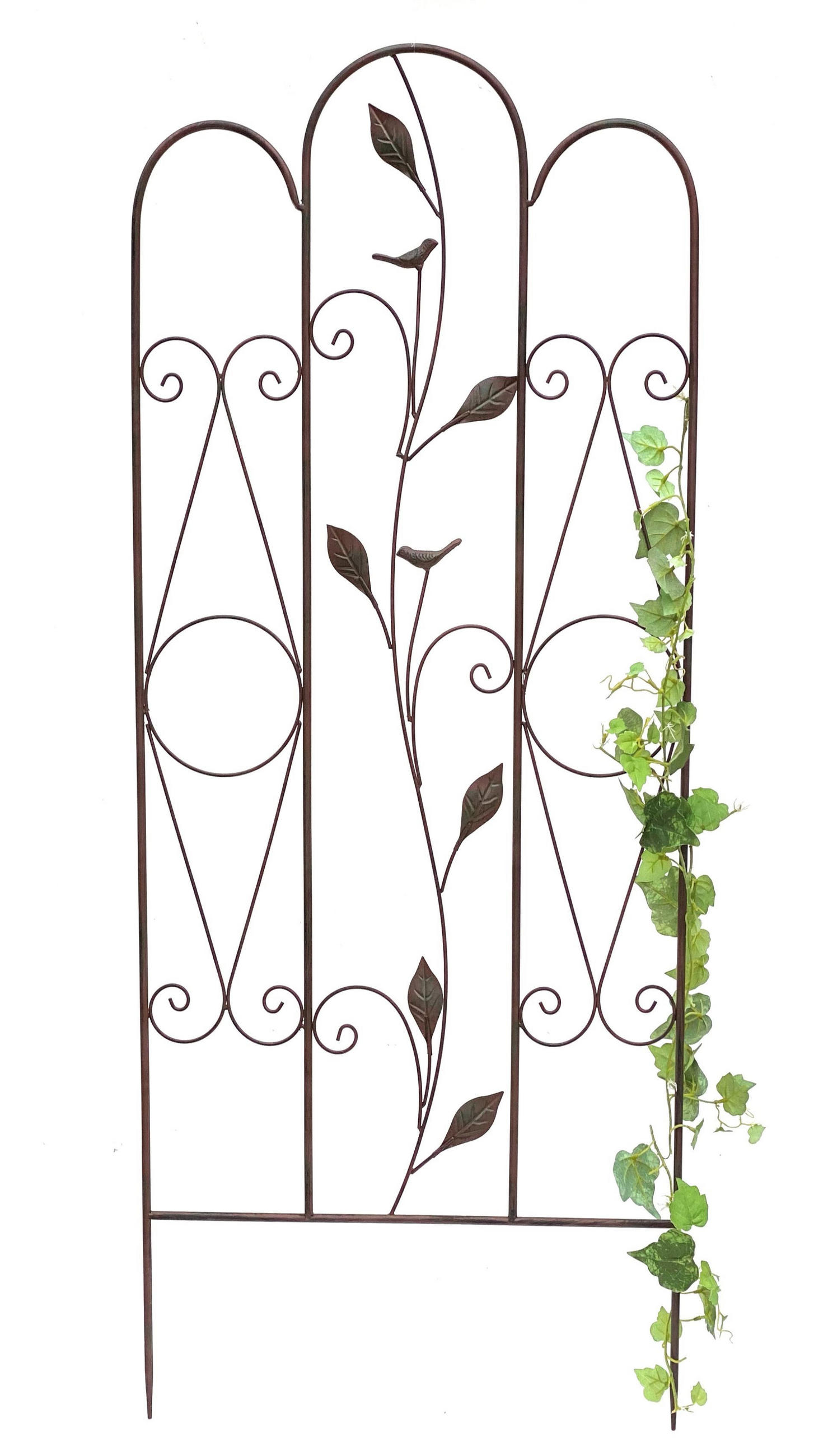 DanDiBo Rankhilfe Braun 50x120x1.5 cm