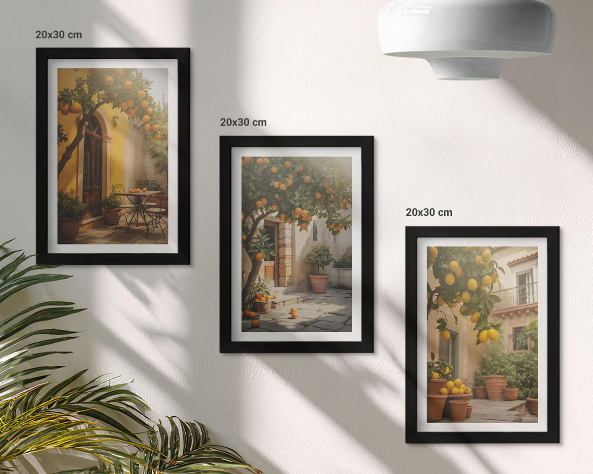 WANDBILDER 3er-Set - 20x30 cm Schwarzer Rahmen - Zitrustöpfe für sonnige Terrassen - Schwarz, Kunststoff (20/30cm) - ArtPrintCave