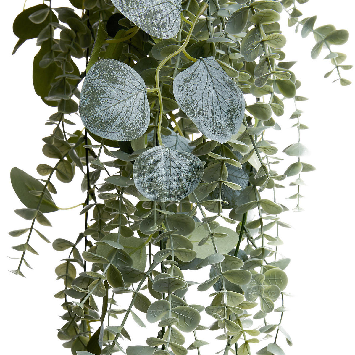 KUNSTHÄNGEPFLANZE Florista - Grün, Kunststoff (11cm) - Butlers