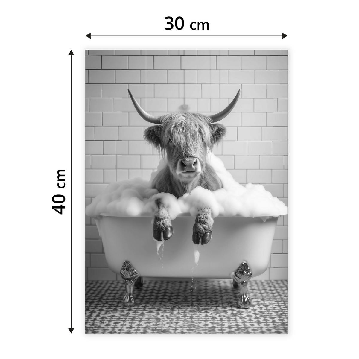 POSTER für WC Badezimmer SCHOTTISCHE KUH in Badewanne Schwarz-Weiß Abstraktion 30x40cm - Schwarz/Weiß, Papier (30/40/40cm) - Muralo