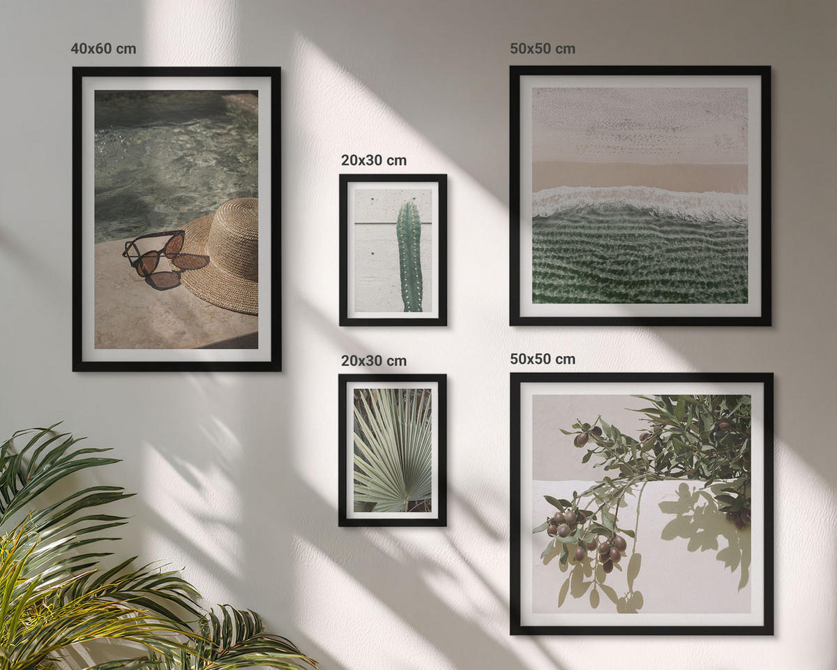 WANDBILDER 5er-Set - 50x50 cm & 20x30 cm & 40x60 cm Schwarzer Rahmen - Zubehör für tropische Pflanzen - Schwarz, Kunststoff (40/60cm) - ArtPrintCave