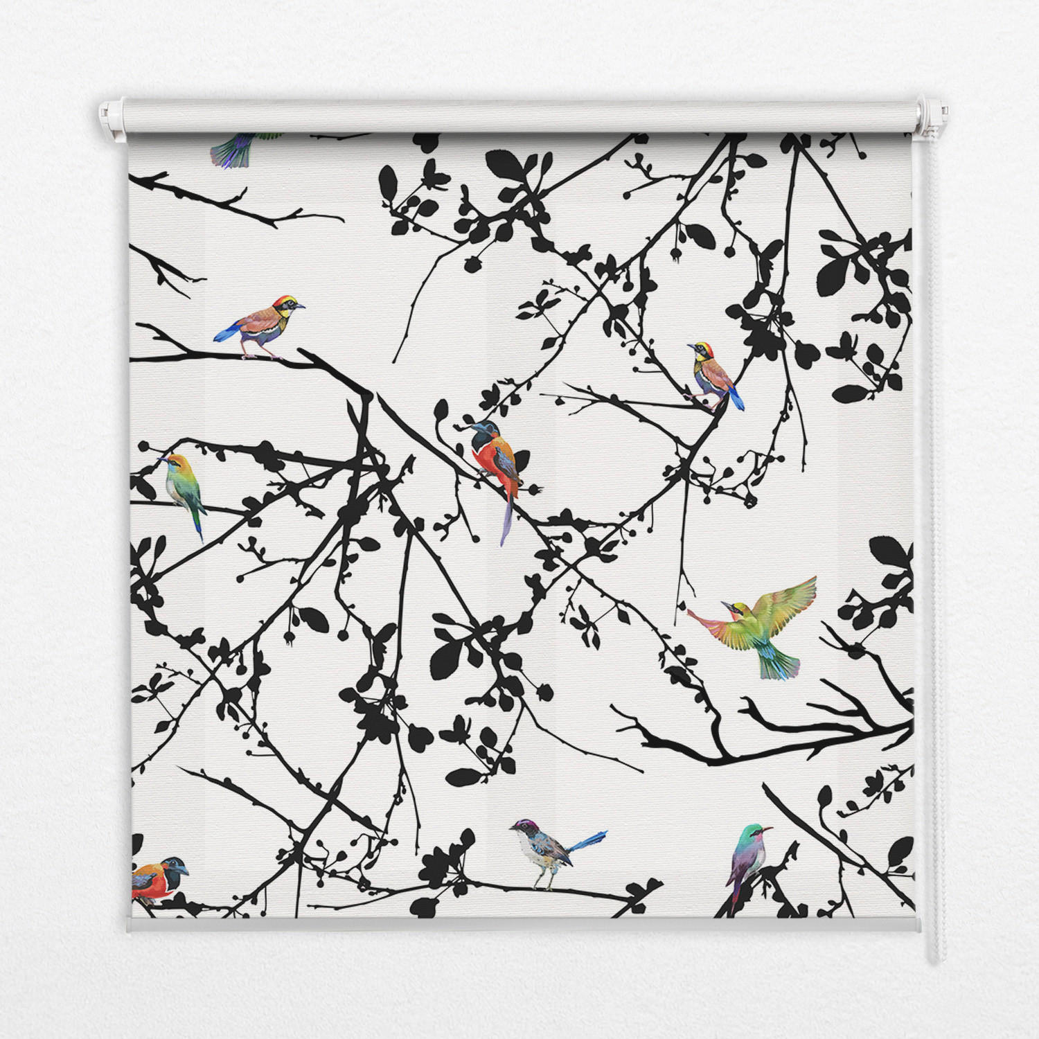 INNENROLLO - Fensterrollo - Rollo - 80x140 cm - Vögel auf den Ästen - Schwarz, Kunststoff (80/140/0.5cm) - TULUP