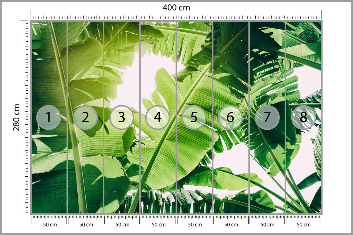 FOTOTAPETE für Wohnzimmer Bananenpflanze Grüne Blätter Tropisch 400x280 - Weiß/Grün, Papier (400/280cm) - Muralo
