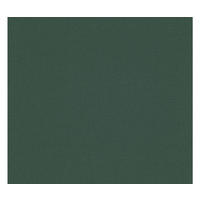 VLIESTAPETE Grün 53/1005 cm - Grün, Textil (53/1cm) - KUNSTLOFT