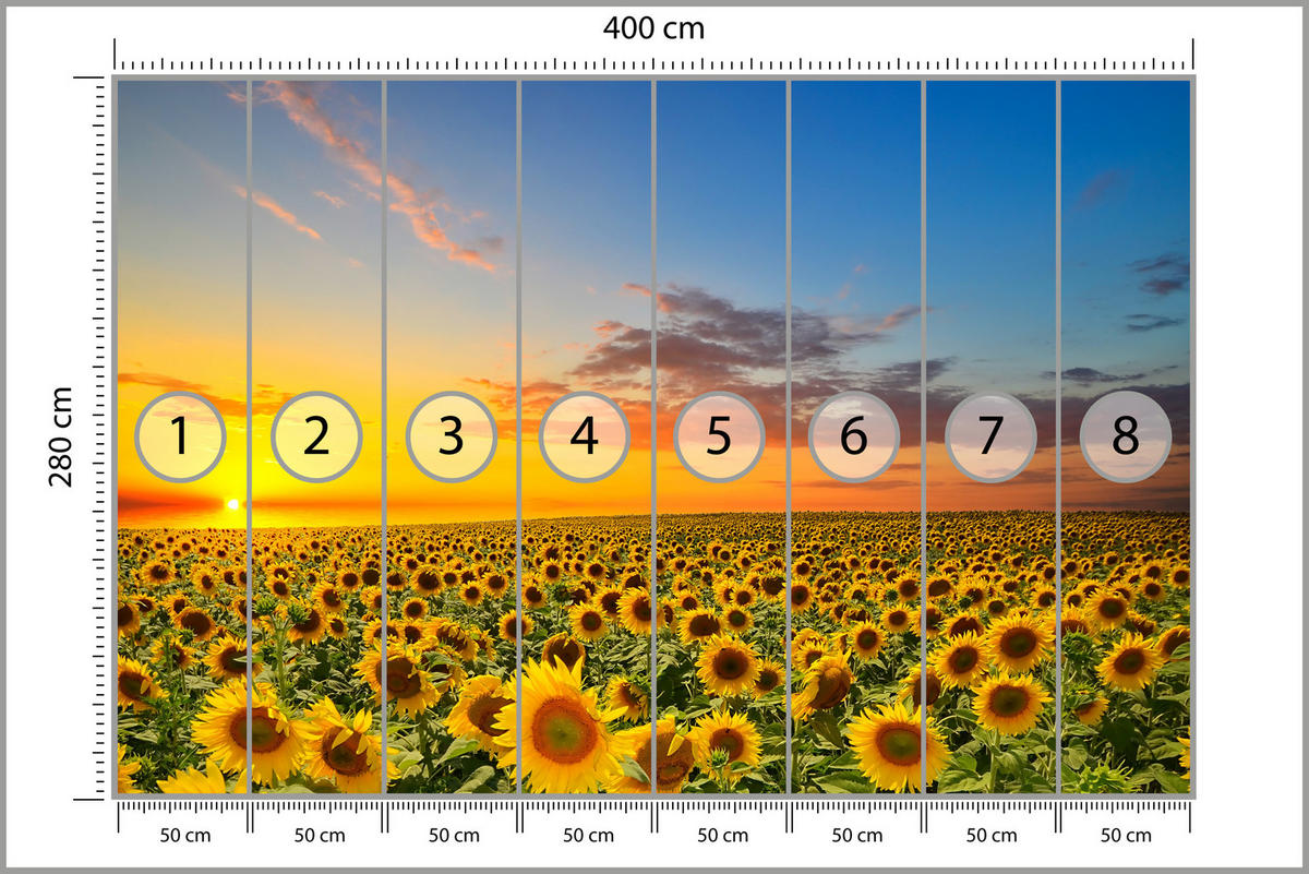 FOTOTAPETE für Küche Sonnenuntergang Sonnenblumenfeld Blumen 400x280 - Gelb/Orange, Papier (400/280cm) - Muralo