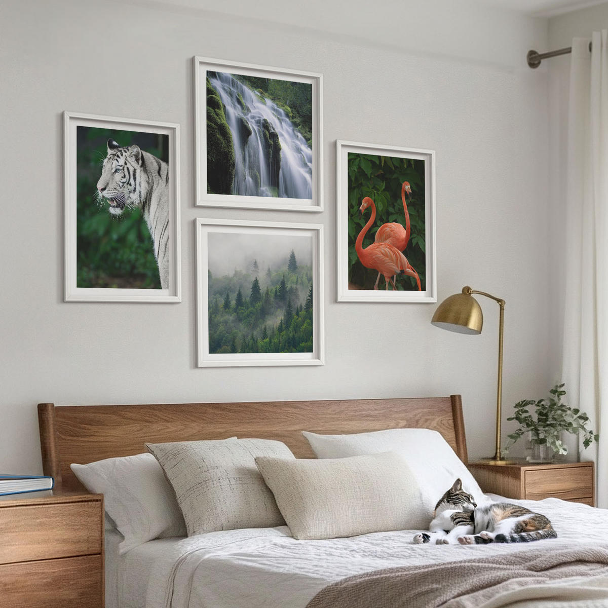 WANDBILDER 4er-Set - 50x50 cm & 40x60 cm Weißer Rahmen - Tiger Wasserfall Flamingos Natur - Weiß, Kunststoff (50/50cm) - ArtPrintCave