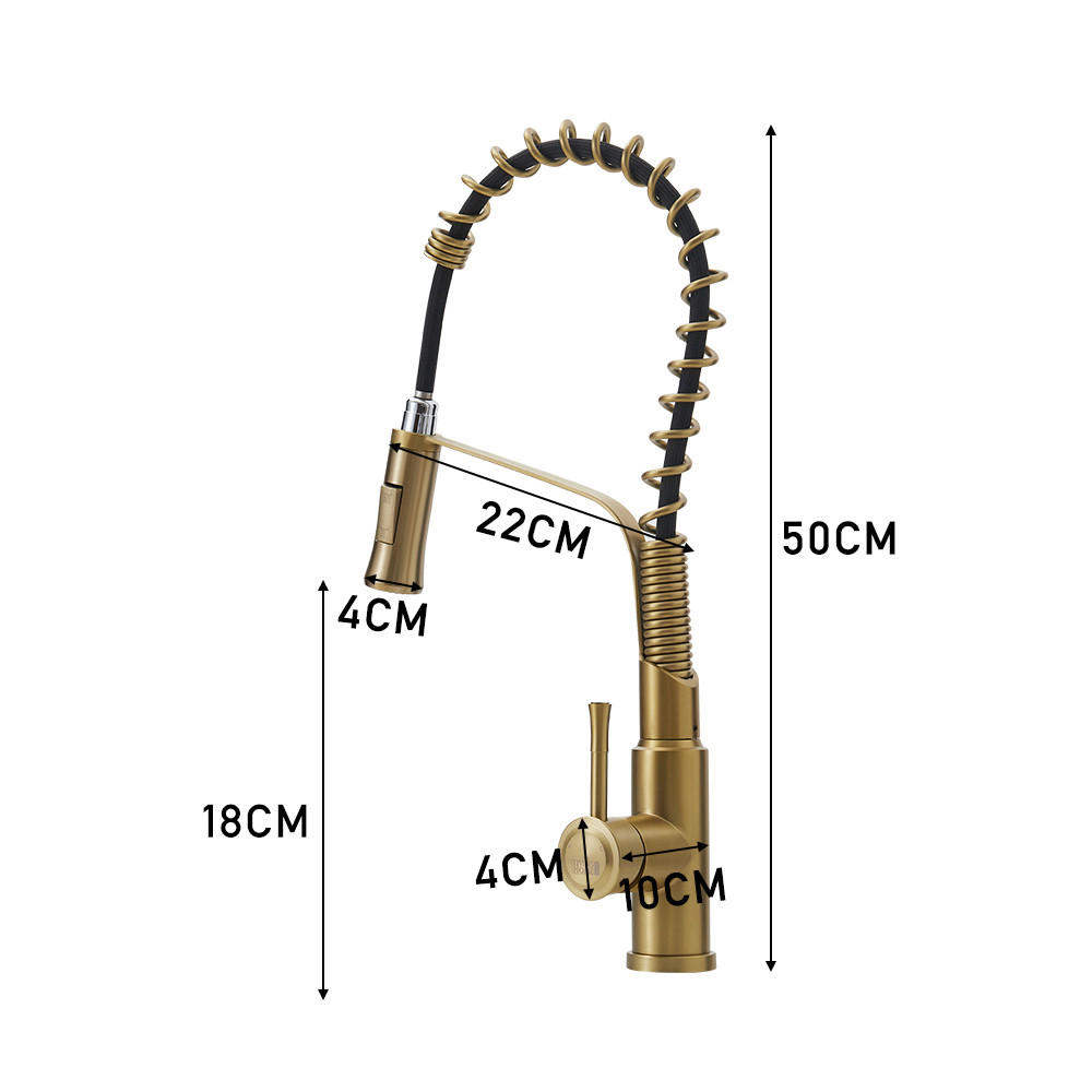 KÜCHENARMATUR Ausziehbar Brausekopf Einhandgriff Schwarz Gold - Goldfarben, Metall (22/50/4cm) - Livingandhome
