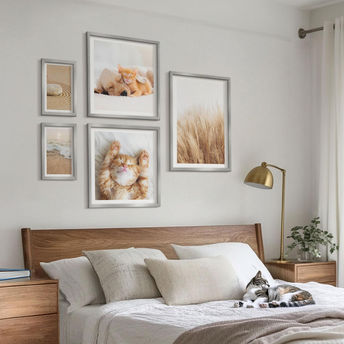 BILDER SET 5er Set - 50x50 cm & 20x30 cm & 40x60 cm Silberner Rahmen - Niedliche Tiere, Katzen, Hunde, Strand - Silberfarben, Kunststoff (40/60cm) - TULUP