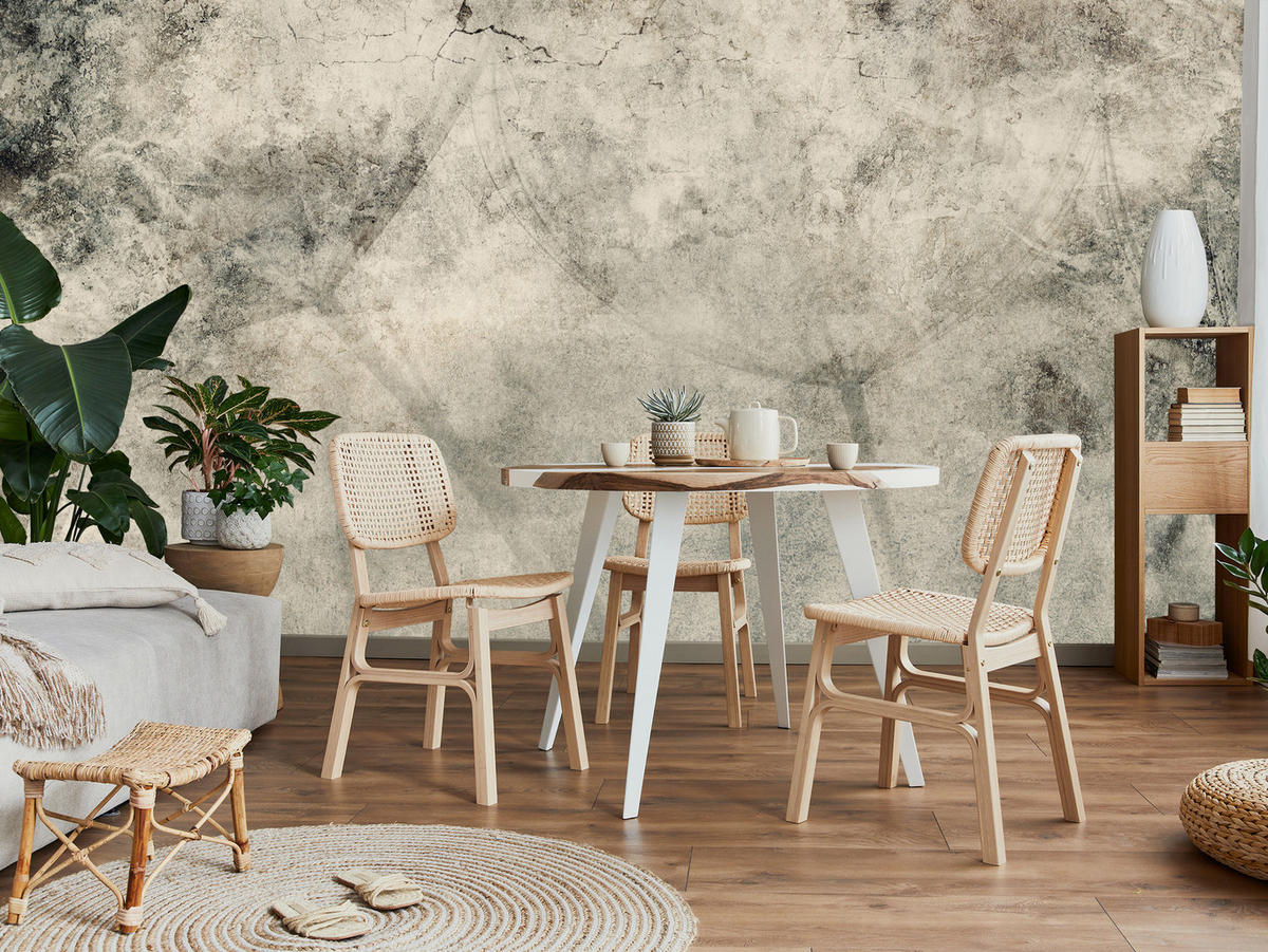 FOTOTAPETE Löwenzahnsamen Beton Vintage Stil 350x256 - Beige/Braun, Papier (350/256cm) - Muralo