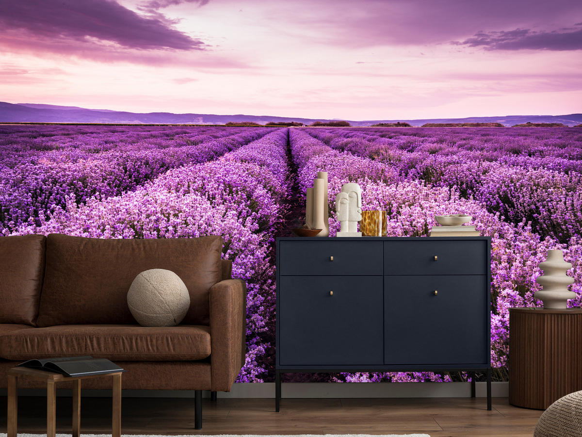FOTOTAPETE für Schlafzimmer Lila Lavendel Wiese Harmonisch Romantisch 350x256 - Violett/Lila, Papier (350/256cm) - Muralo