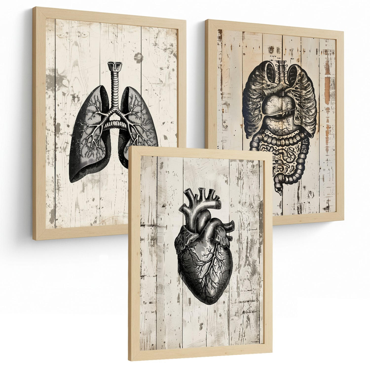POSTER Set aus 3 Anatomie Mensch Drucke und Wandbilder mit Lungen Darm und Herz Rustikaler Stil Wanddekoration Größe Leichter Holzrahmen A3 - Beige, Papier (29.7/42/3cm) - Nacnic