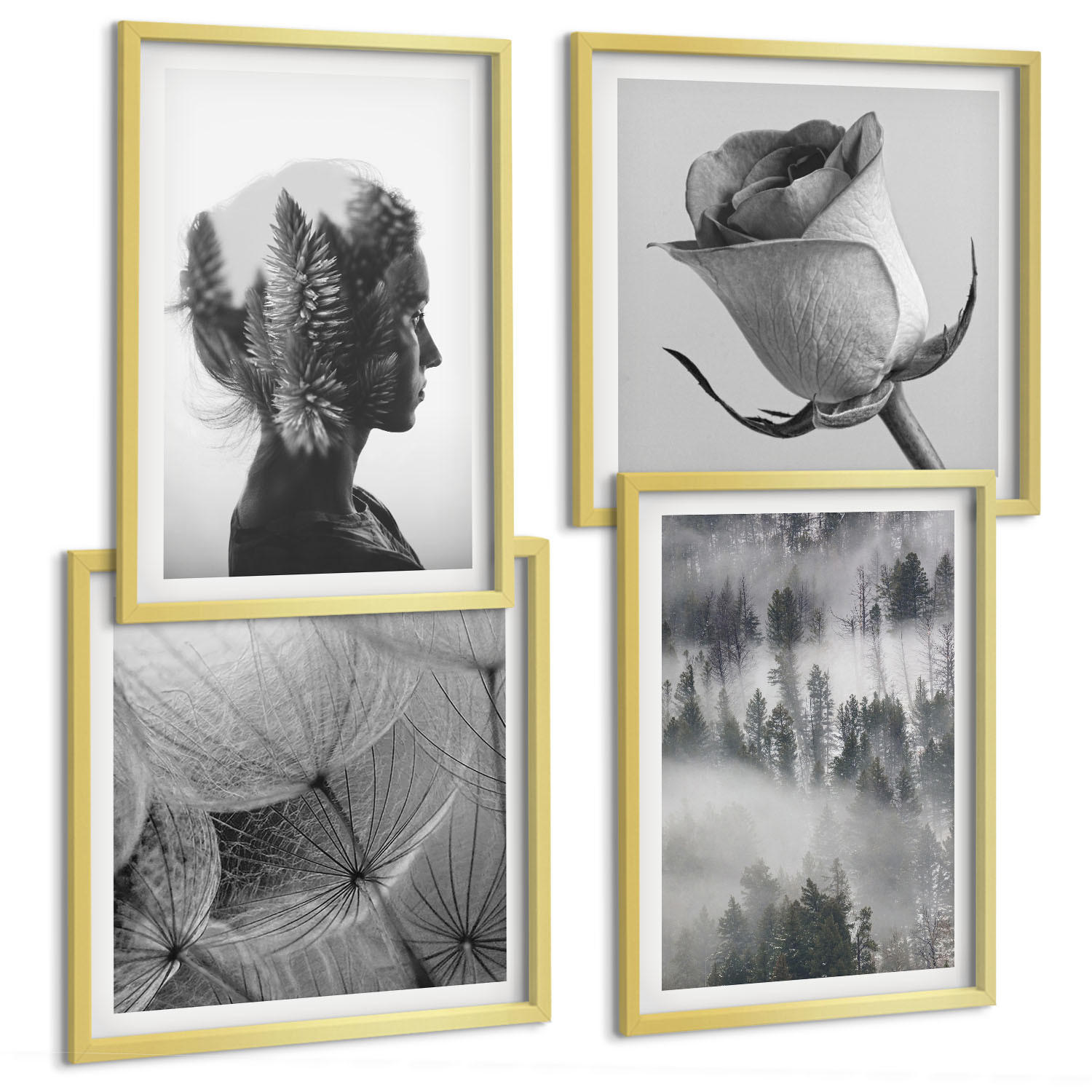 BILDER SET 4er Set - 50x50 cm & 40x60 cm Goldrahmen - Waldnebelporträt einer Frau - Goldfarben, Kunststoff (50/50cm) - TULUP
