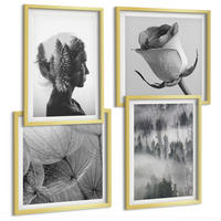 BILDER SET 4er Set - 50x50 cm & 40x60 cm Goldrahmen - Waldnebelporträt einer Frau - Goldfarben, Kunststoff (50/50cm) - TULUP