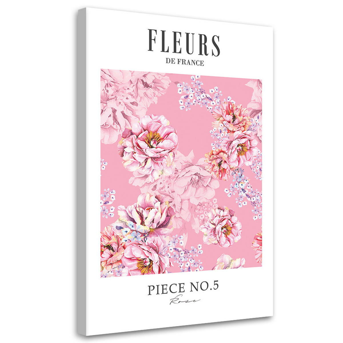 WANDBILD shabby chic rosa pfingstrosenblüten - Pink, Textil (40/60cm) - Feeby