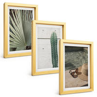 BILDER SET 3er Set - 20x30 cm Goldrahmen - Zubehör für tropische Pflanzen - Goldfarben, Kunststoff (20/30cm) - TULUP
