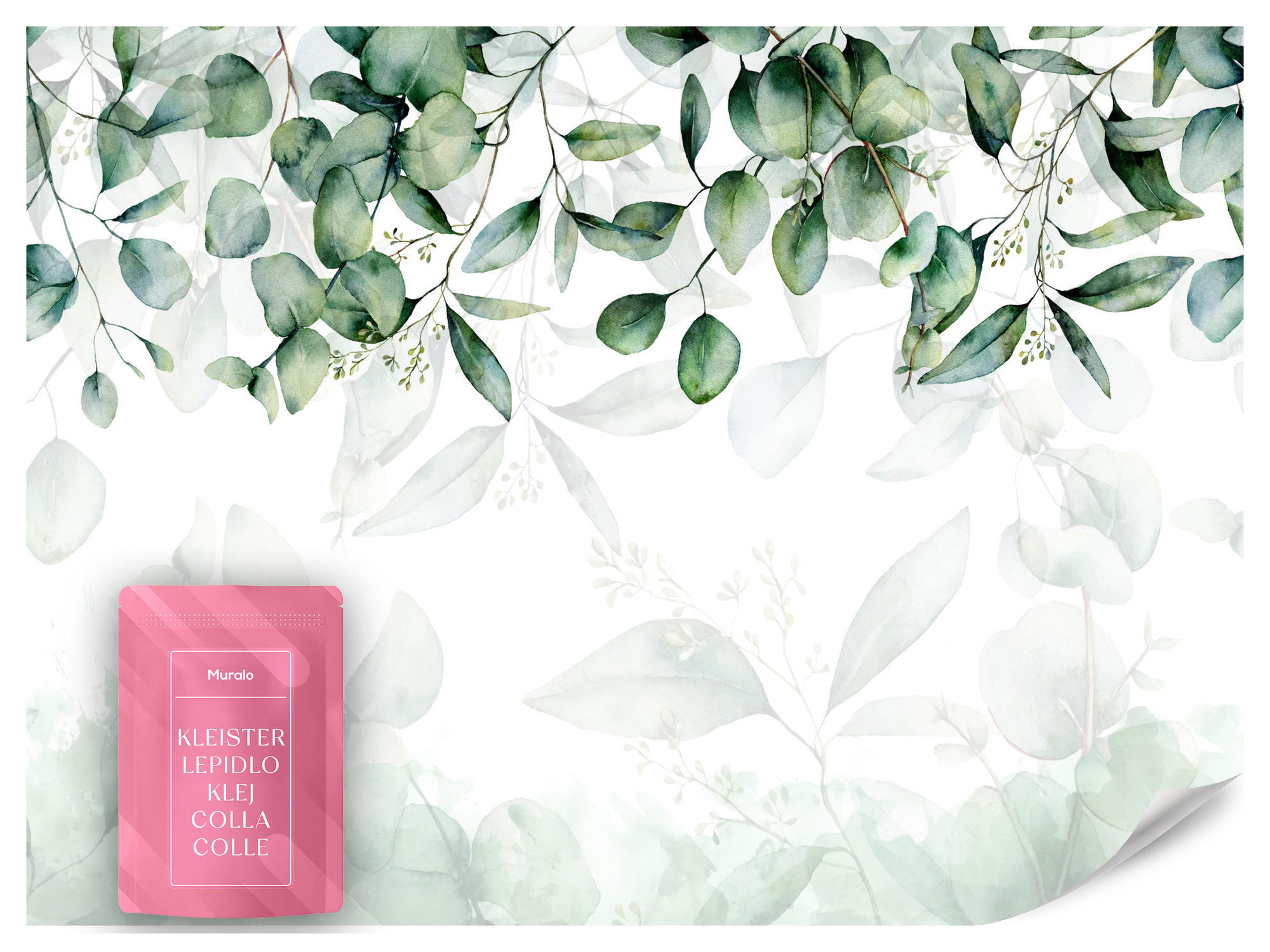 FOTOTAPETE Eukalyptus Blätter Pflanzen Natur 300x210 - Weiß/Grün, Papier (300/210cm) - Muralo