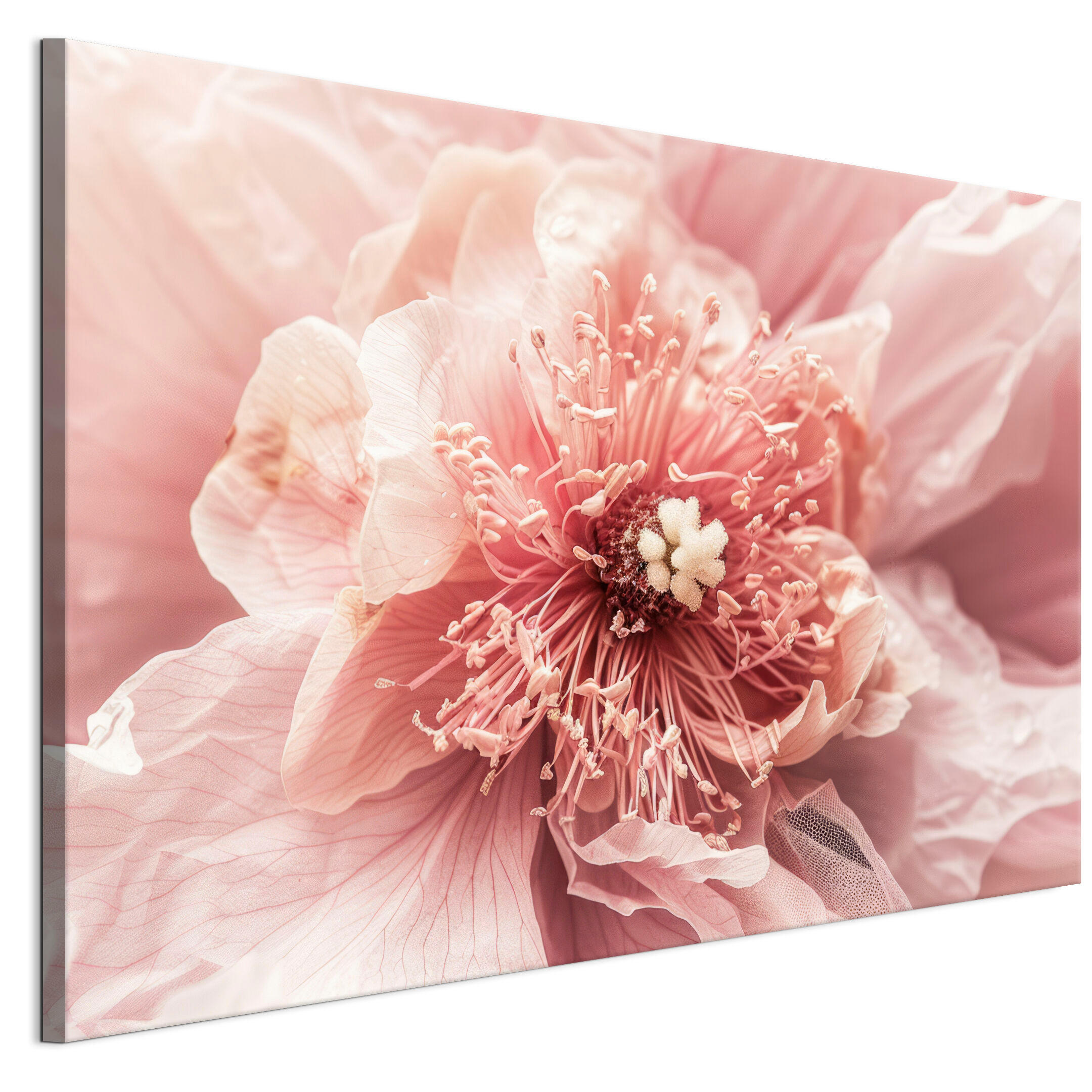 LEINWANDBILD Magnolie 120x80 cm - Multicolor, Holz (120/80cm) - LUMASOUL