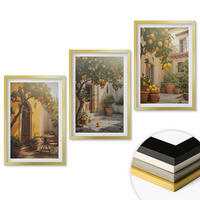 WANDBILDER 3er Set - 40x60 cm Goldrahmen - Zitrustöpfe für sonnige Terrassen - Goldfarben, Kunststoff (40/60cm) - ArtPrintCave