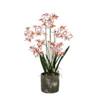 KÜNSTLICHE Orchidee - Han 59 cm - Rot, Kunststoff (58cm) - aplanta