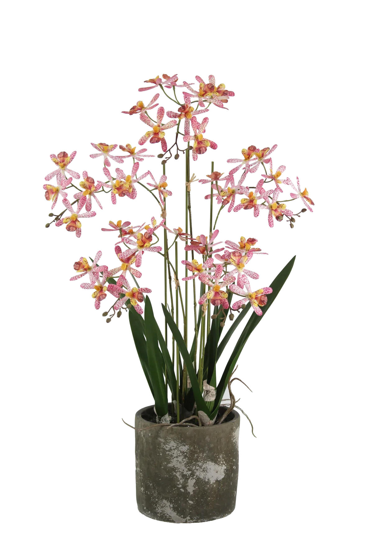 KÜNSTLICHE Orchidee - Han 59 cm - Rot, Kunststoff (58cm) - aplanta