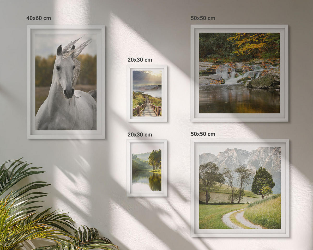 BILDER SET 5er Set - 50x50 cm & 20x30 cm & 40x60 cm Weißer Rahmen - Natur des Flusses White Horses - Weiß, Kunststoff (40/60cm) - TULUP