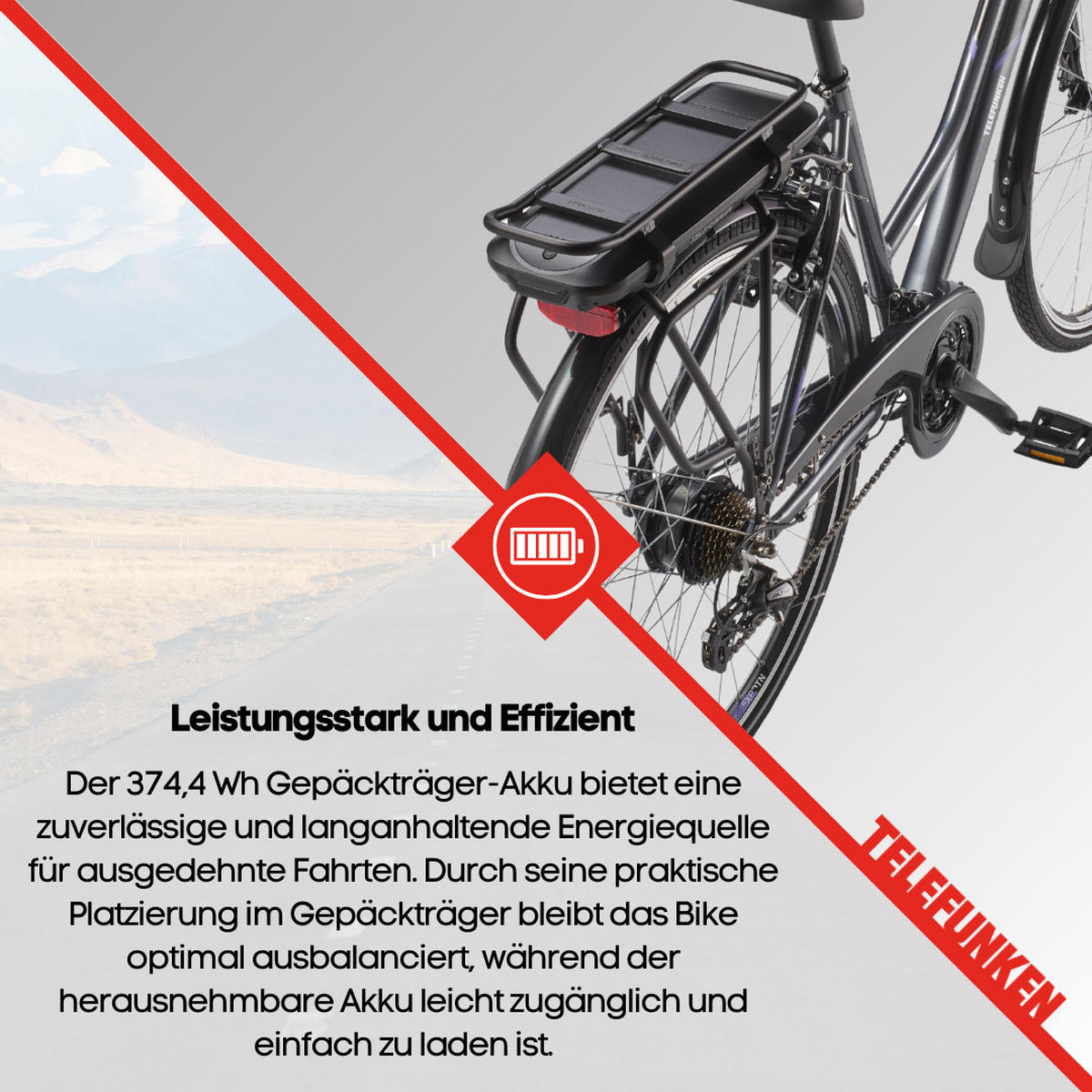 E-BIKE XT480 Trekking Elektrofahrrad 21-Gang Shimano Kettenschaltung, Pedelec, 10Ah, 36V Akku - Anthrazit, Metall (112.5cm) - Telefunken