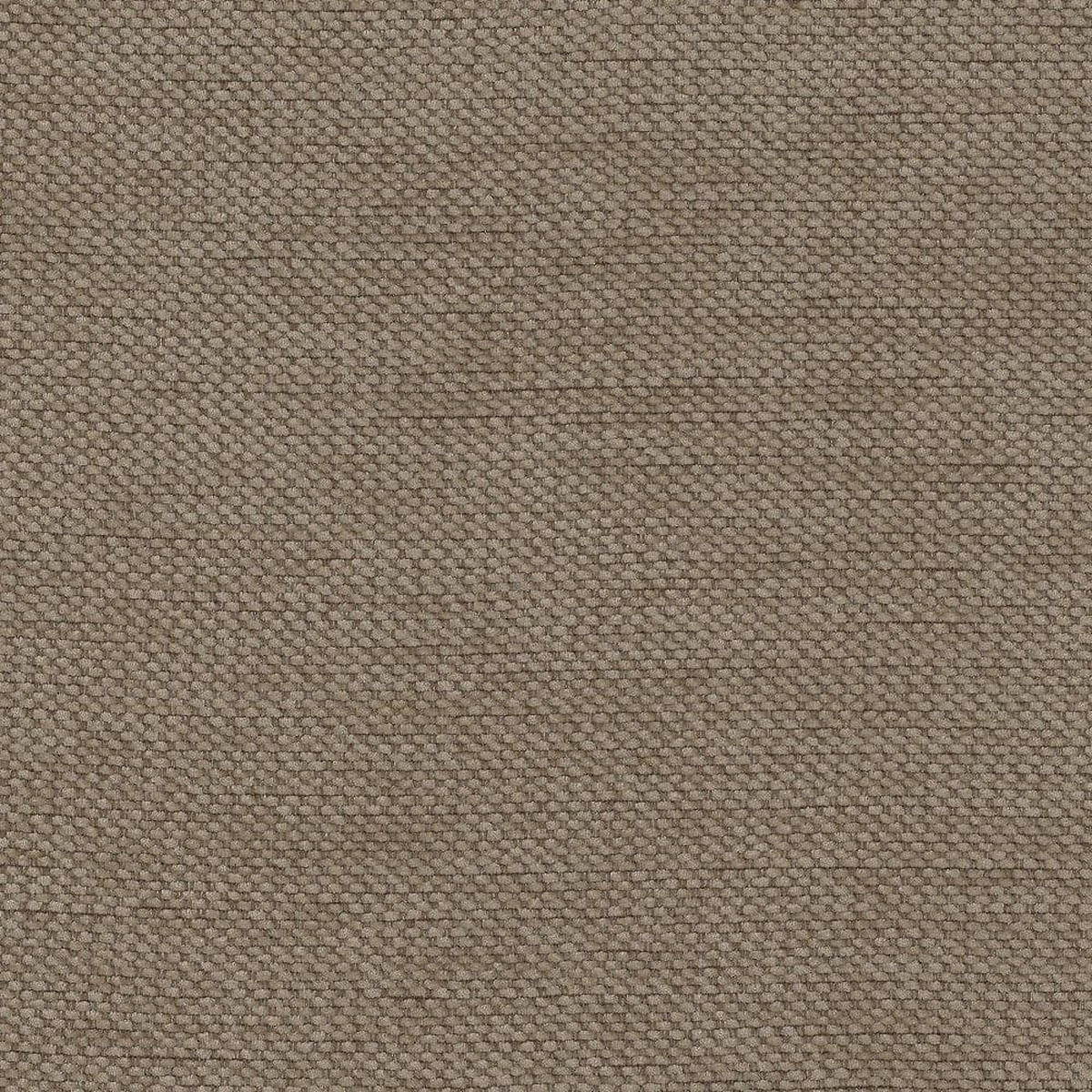 SCHLAFSOFA mit Bettkasten und Schlaffunktion - Beige/Schwarz, Holz/Kunststoff (215/96/106cm) - ed exciting design