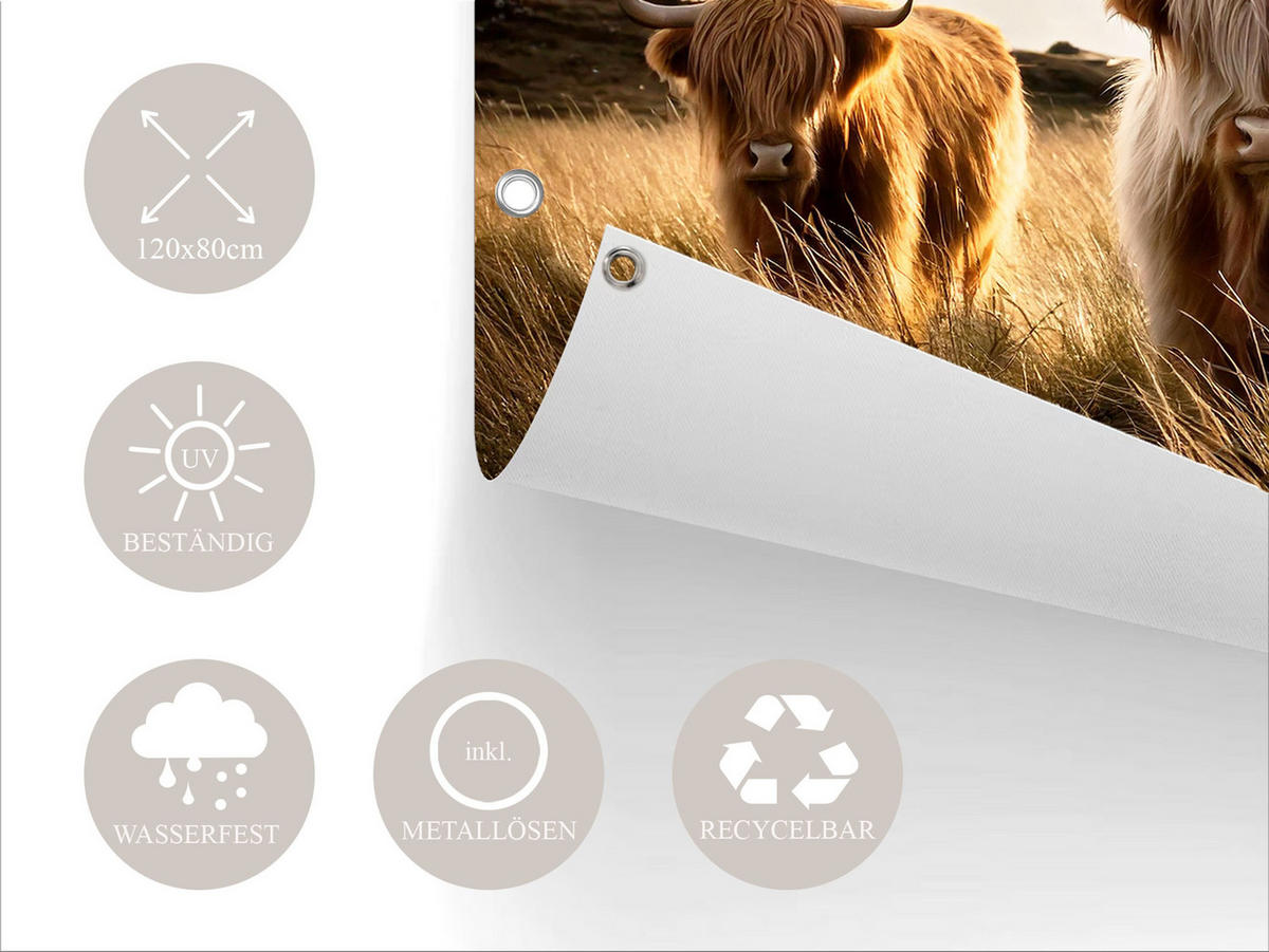 GARTEN-POSTER 120x80 cm Hochlandrinder - Beige, Kunststoff (120/80/2cm) - artissimo