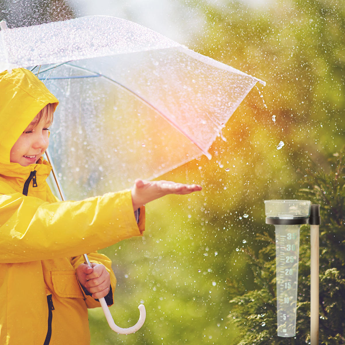 2xREGENMESSER - Multicolor, Holz/Kunststoff (8.5/38cm) - Relaxdays