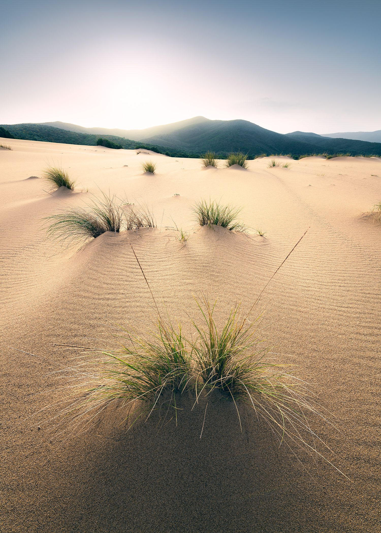 FOTOTAPETE Strand-Motiv 200 x 280 cm - Beige, Papier (200/280cm) - Sanders & Sanders