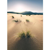 FOTOTAPETE Strand-Motiv 200 x 280 cm - Beige, Papier (200/280cm) - Sanders & Sanders