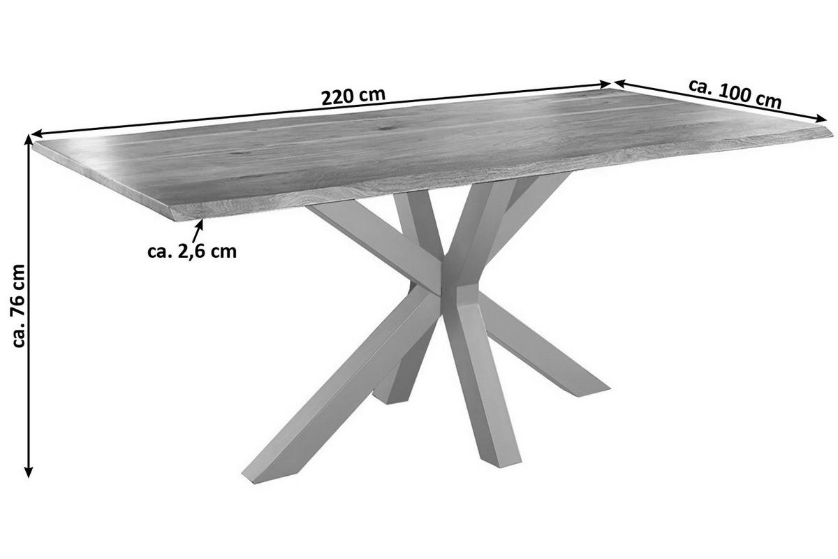 ESSTISCH SPYRO - Beige/Silberfarben, Holz/Metall (100/220/76cm) - SAM