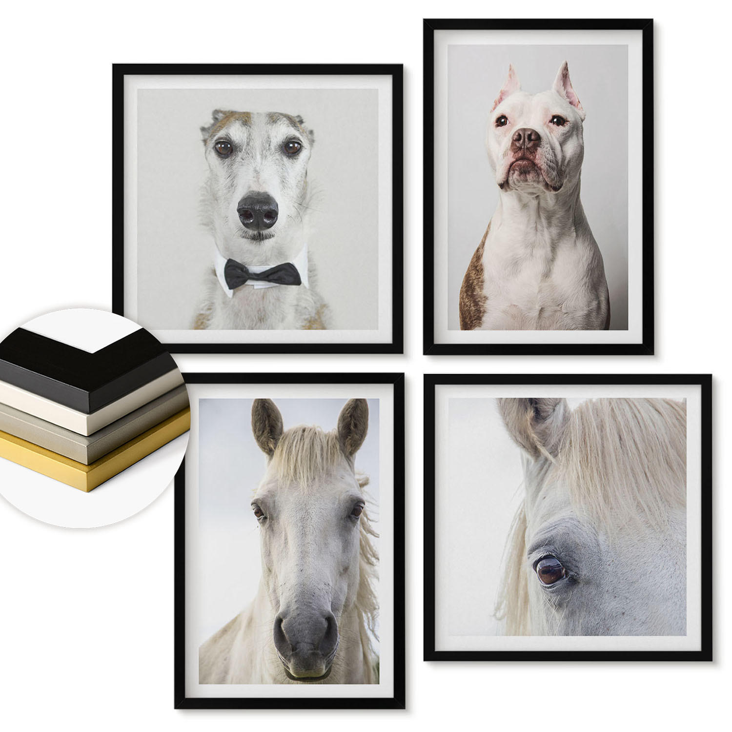 WANDBILDER 4er-Set - 50x50 cm & 40x60 cm Schwarzer Rahmen - Elegante Porträts von Hunden und Pferden - Schwarz, Kunststoff (50/50cm) - ArtPrintCave