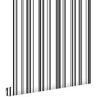 TAPETE feine Streifen 53 cm x 10.05 m - Schwarz, Papier (53/1000cm) - ESTAhome